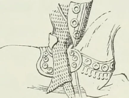 An illustration from Le Costume au Moyen âge d'après les sceaux ..., 1880, leaf 194