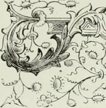 An illustration from Le Costume au Moyen âge d'après les sceaux ..., 1880, leaf 208