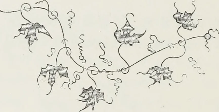 An illustration from Le Costume au Moyen âge d'après les sceaux ..., 1880, leaf 261