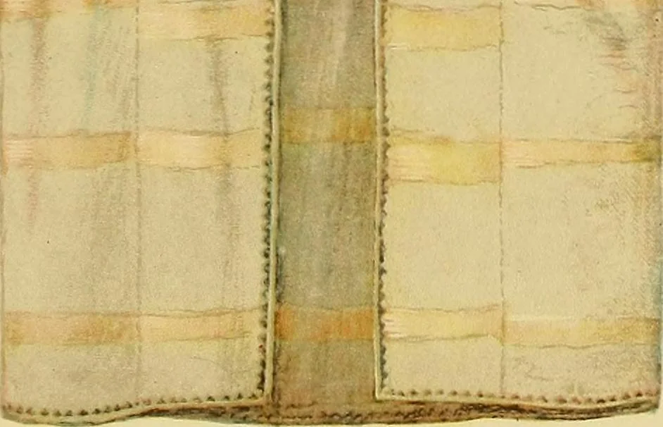 An illustration from Le costume en orient, 1922, leaf 124