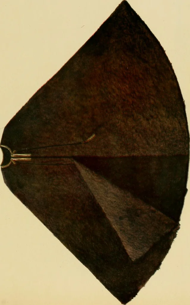 An illustration from Le costume en orient, 1922, leaf 142