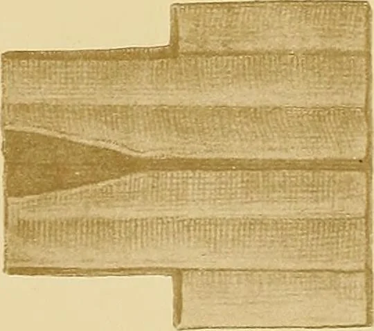An illustration from Le costume en orient, 1922, leaf 198