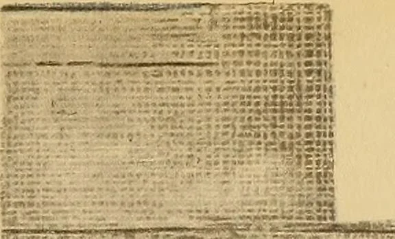 An illustration from Le costume en orient, 1922, leaf 292