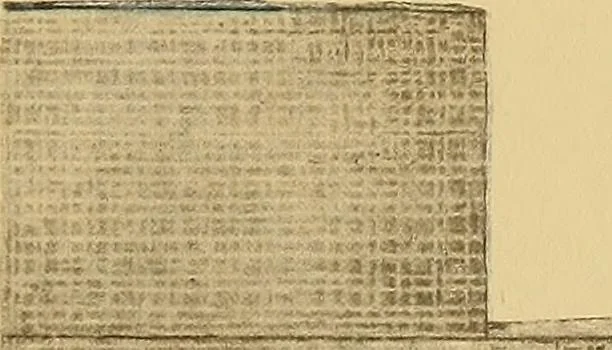 An illustration from Le costume en orient, 1922, leaf 292