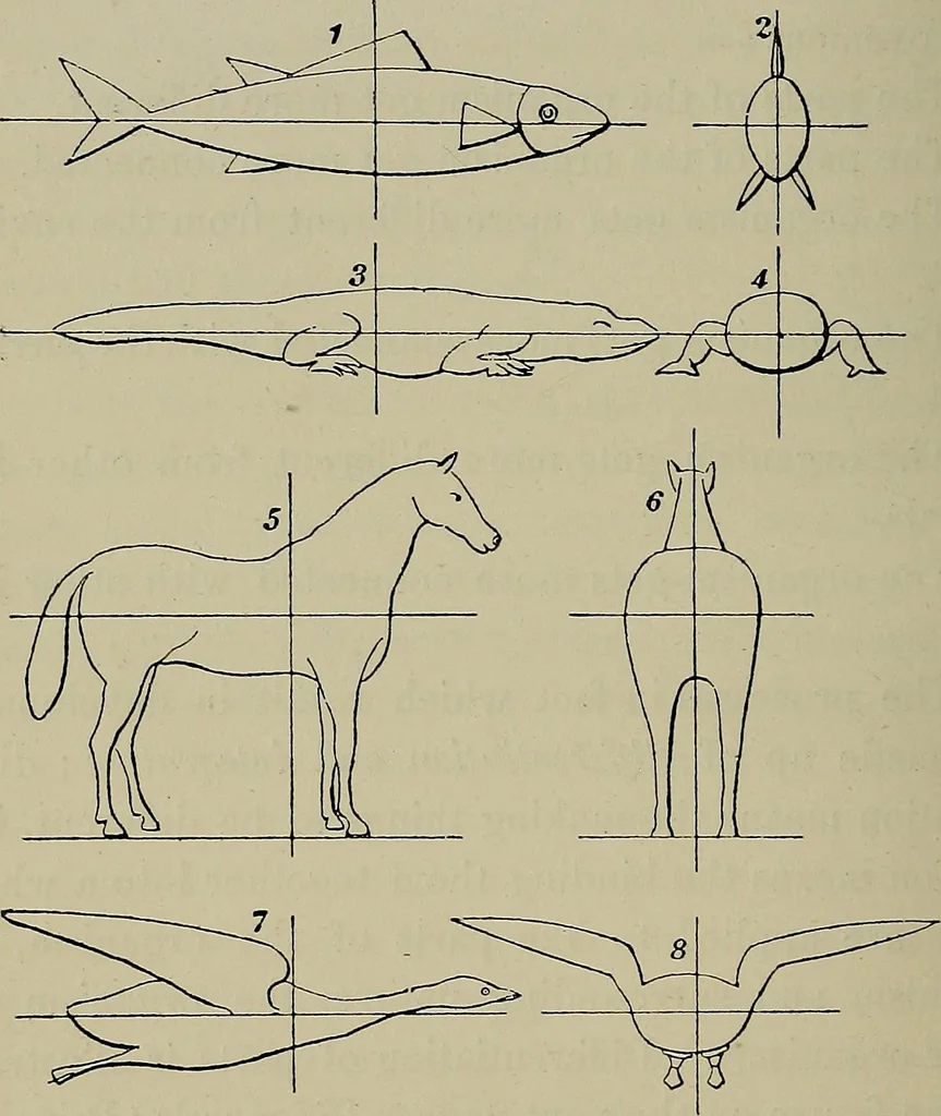 An illustration from Lectures and essays, 1879, leaf 107