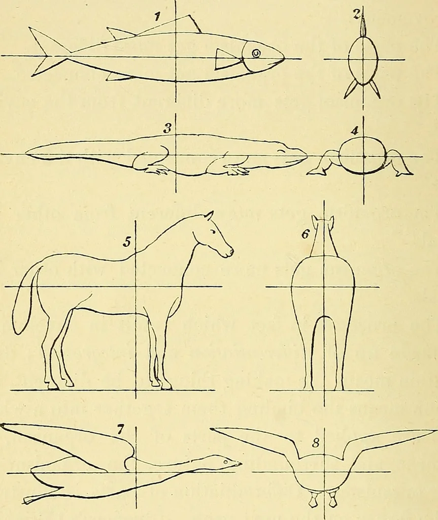 An illustration from Lectures and essays by William Kingdon Clifford, 1879, leaf 107