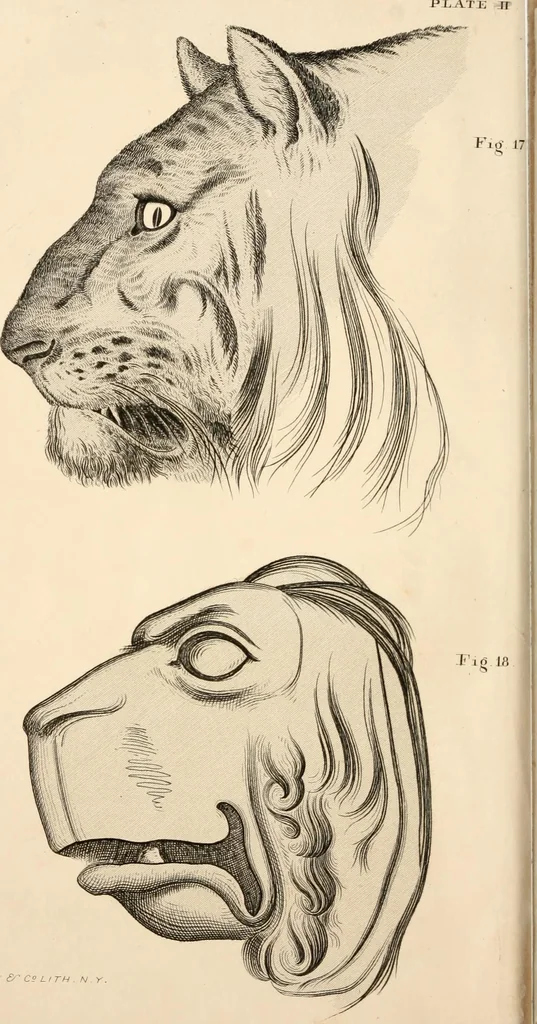An illustration from Lectures on architecture and painting, delivered at Edinburgh in November, 1853, 1854, leaf 13