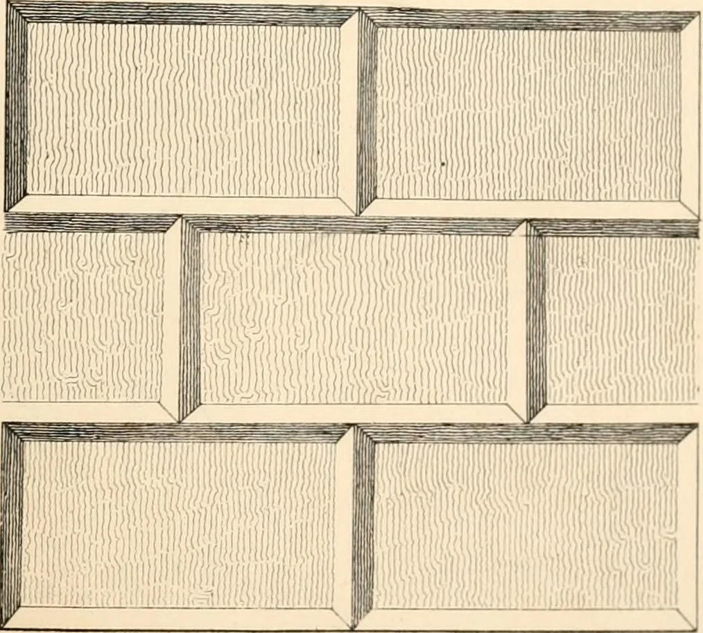 An illustration from Lectures on architecture and painting, delivered at Edinburgh in November, 1853, 1854, leaf 219
