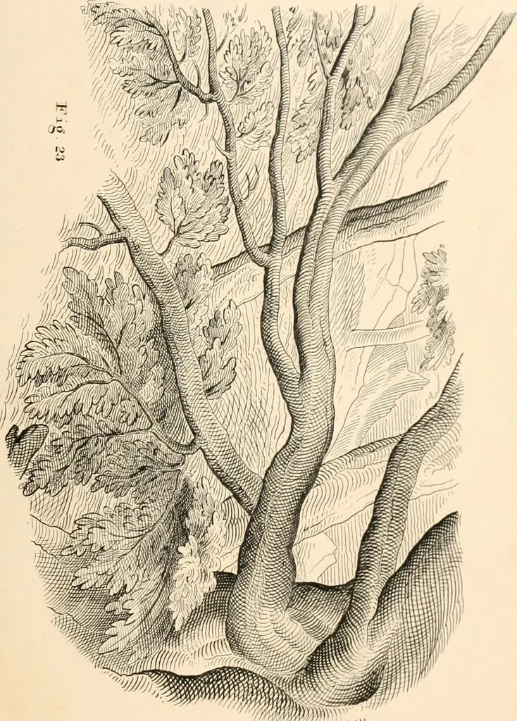 An illustration from Lectures on architecture and painting, delivered at Edinburgh in November, 1853, 1854, leaf 231