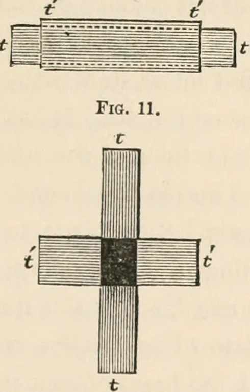 An illustration from Lectures on light, delivered in the United States in 1872-'73; with an appendix, 1873, leaf 98