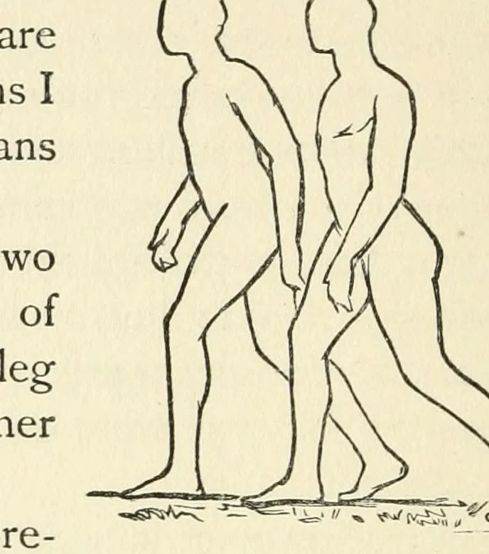 An illustration from Lectures on painting; delivered to the students of the Royal Academy, 1883, leaf 183