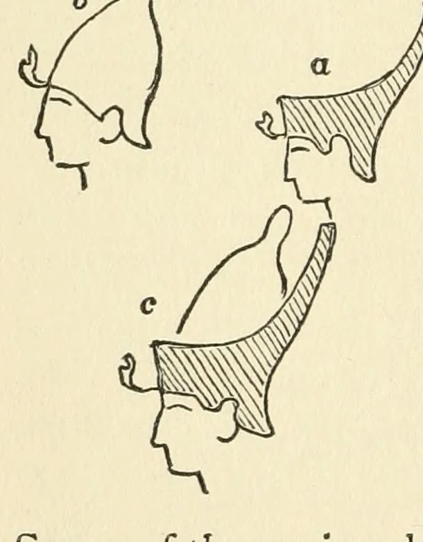 An illustration from Lectures on painting; delivered to the students of the Royal Academy, 1883, leaf 21