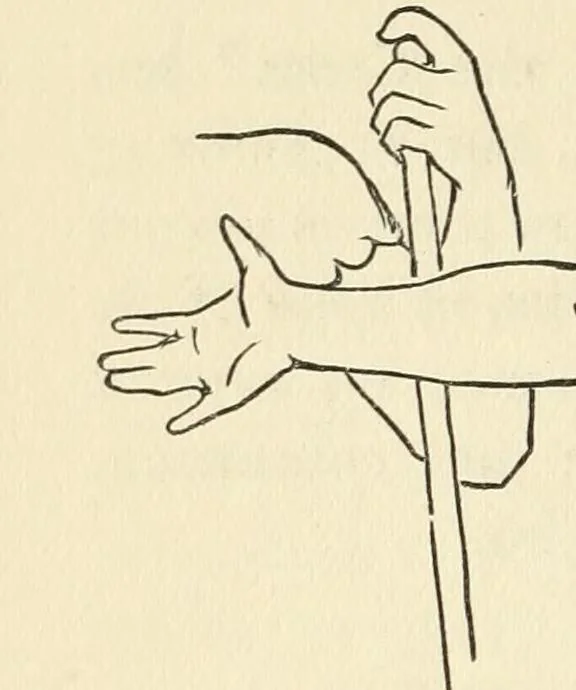 An illustration from Lectures on painting; delivered to the students of the Royal Academy, 1883, leaf 309