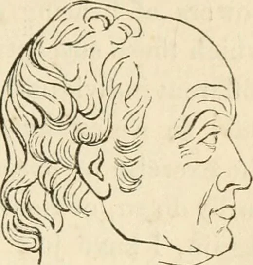 An illustration from Lectures on phrenology, including its application to the present and prospective condition of the United States, 1840, leaf 140