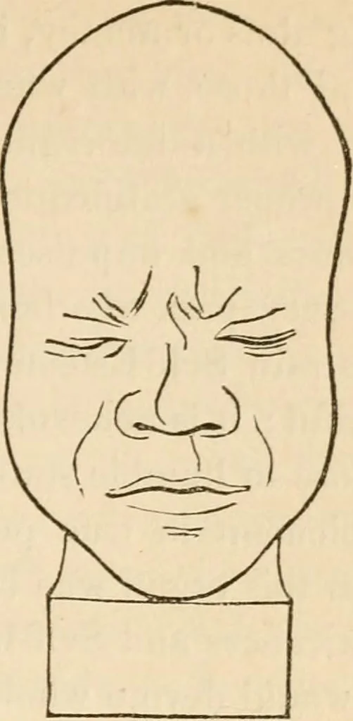 An illustration from Lectures on phrenology, including its application to the present and prospective condition of the United States, 1840, leaf 196