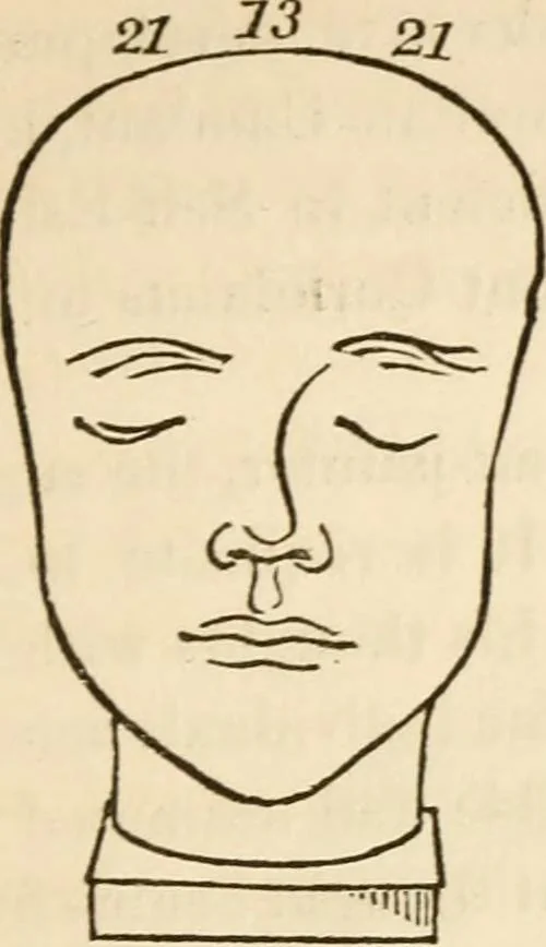 An illustration from Lectures on phrenology, including its application to the present and prospective condition of the United States, 1840, leaf 230