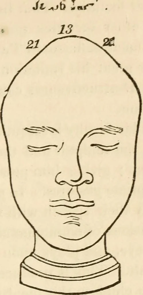 An illustration from Lectures on phrenology, including its application to the present and prospective condition of the United States, 1840, leaf 230