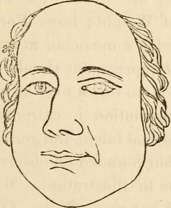 An illustration from Lectures on phrenology, including its application to the present and prospective condition of the United States, 1840, leaf 260