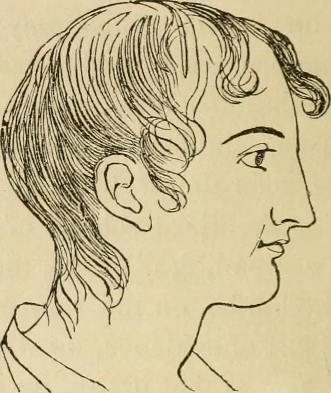 An illustration from Lectures on phrenology, including its application to the present and prospective condition of the United States, 1840, leaf 31
