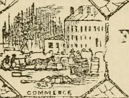 An illustration from Lectures on phrenology, including its application to the present and prospective condition of the United States, 1840, leaf 401