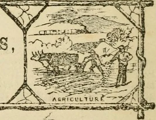 An illustration from Lectures on phrenology, including its application to the present and prospective condition of the United States, 1840, leaf 401