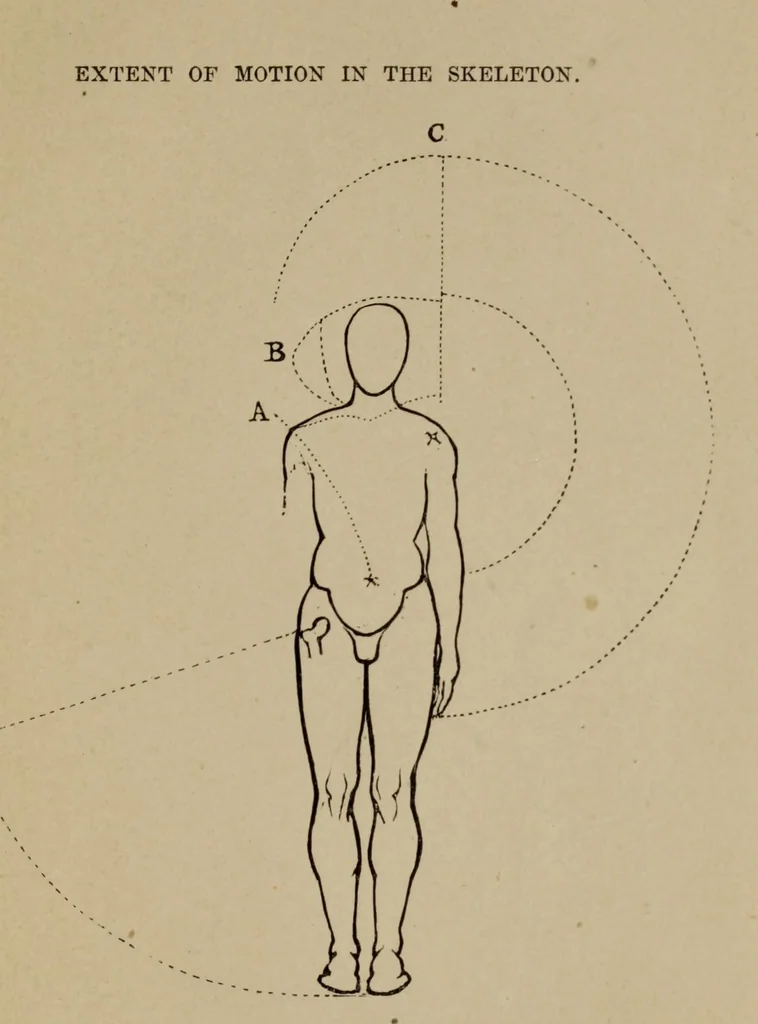 An illustration from Lectures on sculpture, as delivered before the president and members of the Royal Academy, 1865, leaf 386