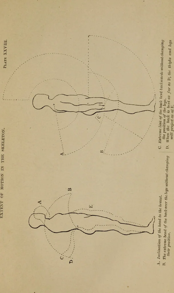An illustration from Lectures on sculpture, as delivered before the president and members of the Royal Academy, 1865, leaf 388