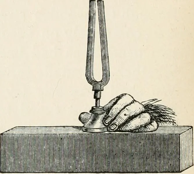 An illustration from Lectures on some recent advances in physical science : with a special lecture on force, 1876, leaf 203