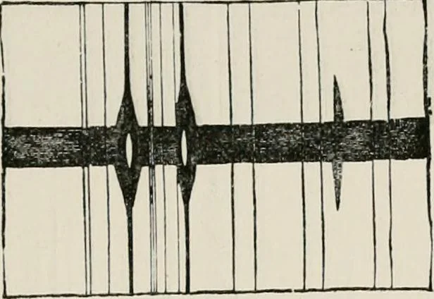 An illustration from Lectures on some recent advances in physical science : with a special lecture on force, 1876, leaf 250