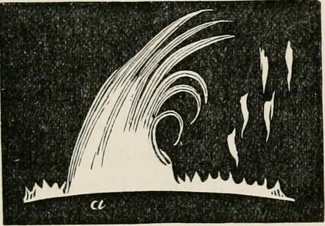 An illustration from Lectures on some recent advances in physical science : with a special lecture on force, 1876, leaf 254