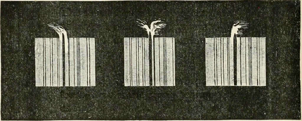 An illustration from Lectures on some recent advances in physical science : with a special lecture on force, 1876, leaf 267
