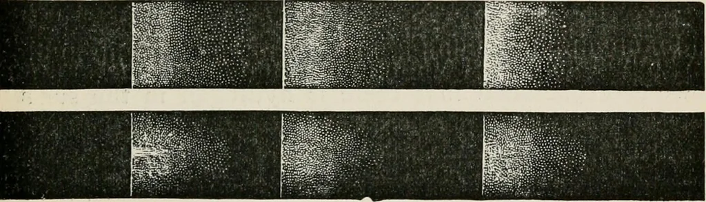 An illustration from Lectures on some recent advances in physical science : with a special lecture on force, 1876, leaf 278