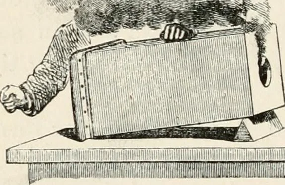 An illustration from Lectures on some recent advances in physical science : with a special lecture on force, 1876, leaf 317