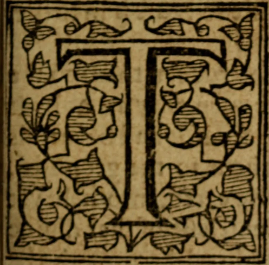 An illustration from Lectures, vpon the history of the Passion, Resurrection, and Ascension of our Lord Iesus Christ. Beginning at the eighteenth chapter of the Gospell, according to S. Iohn, and from the 16. verse of the 19. chapter thereof, containing a perfect harmonie of all the foure Euangelists, for the better vnderstanding of all the circumstances of the Lords death, and Resurrection, 1616, leaf 26