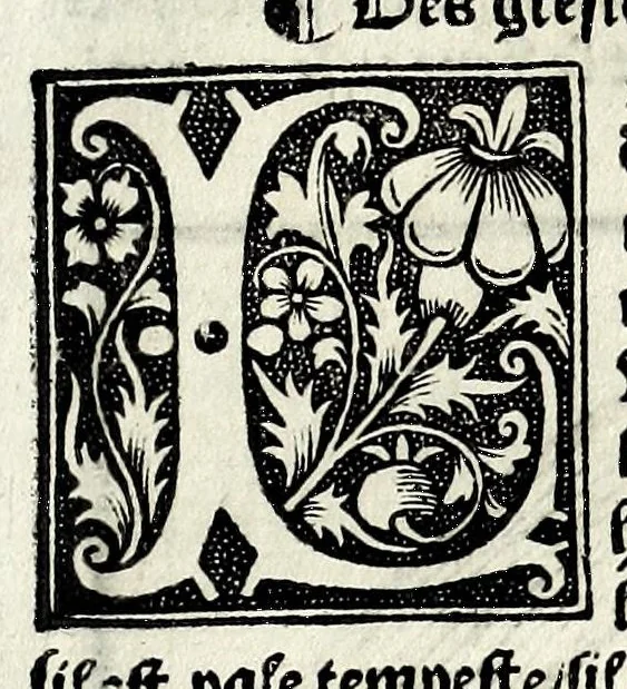 An illustration from Le cueur de philosophie : translate de latin en francoys a la requeste de Philippes le bel roy de France, 1538, leaf 221