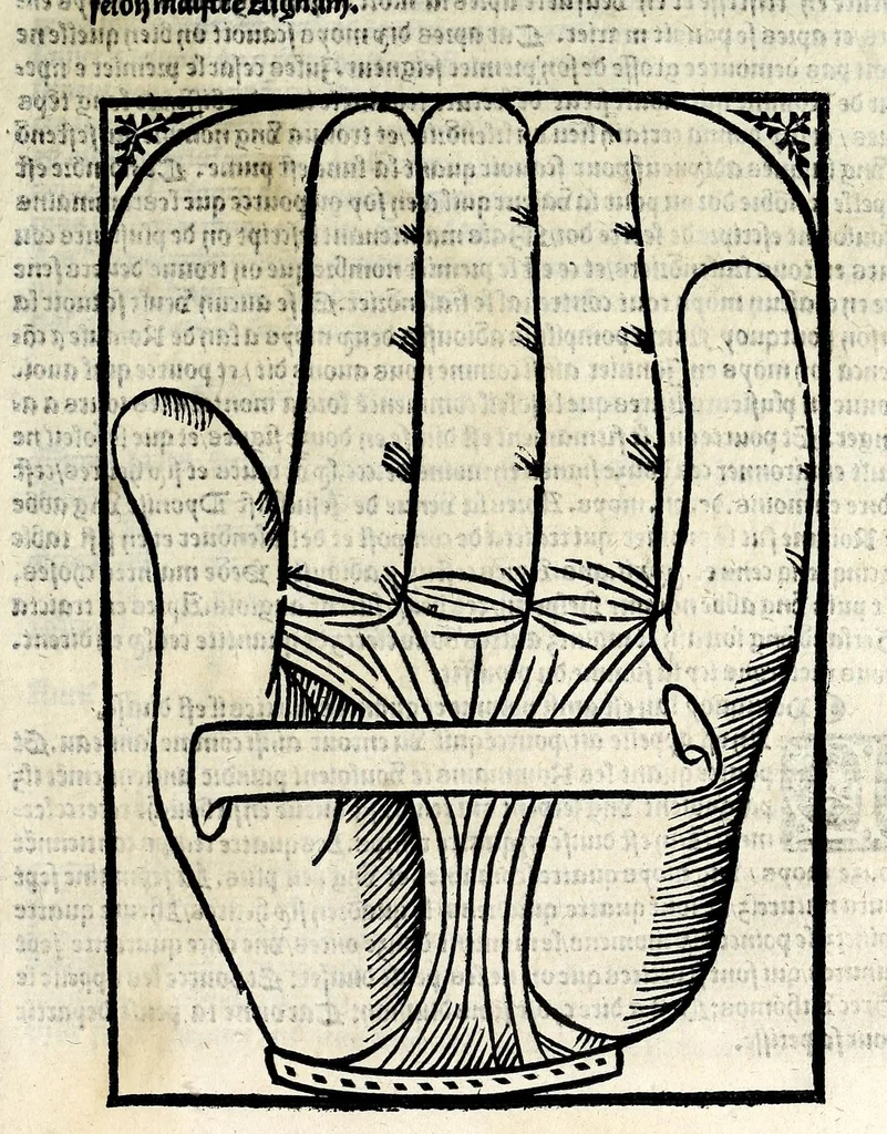 An illustration from Le cueur de philosophie : translate de latin en francoys a la requeste de Philippes le bel roy de France, 1538, leaf 223