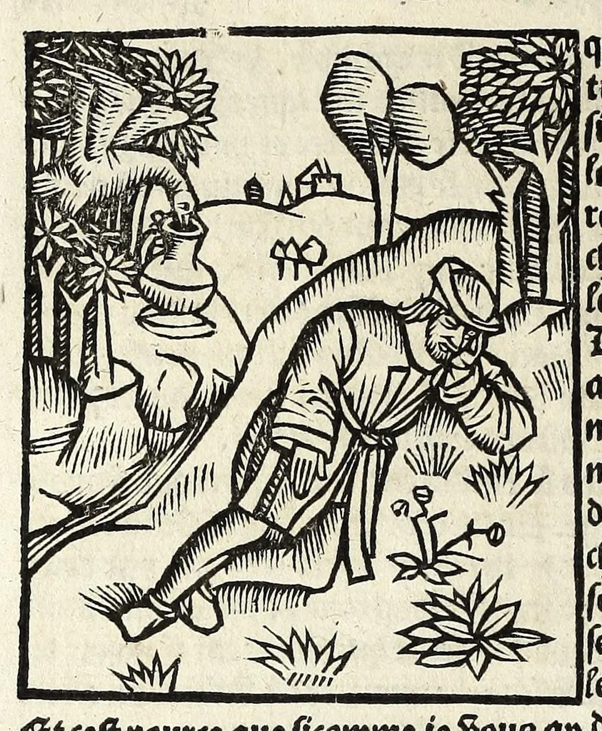 An illustration from Le cueur de philosophie : translate de latin en francoys a la requeste de Philippes le bel roy de France, 1538, leaf 38