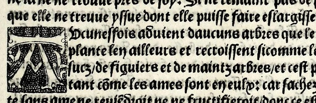 An illustration from Le cueur de philosophie : translate de latin en francoys a la requeste de Philippes le bel roy de France, 1538, leaf 81