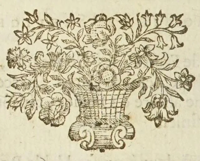 An illustration from Le cuisinier royal et bourgeois : qui apprend à ordonner toute sorte de repas, & la meilleure maniere des ragoûts les plus à la mode & les plus exquis : ouvrage très-utile dans les familles, & singulierement necessaire à tous maitres d'hòtels, & ecuïers de cuisine, 1693, leaf 28