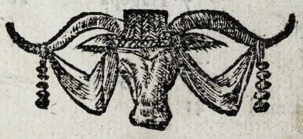 An illustration from Le description philosophale de la nature & condition des oyseaux & de l'inclination & proprieté d'iceux, 1571, leaf 101