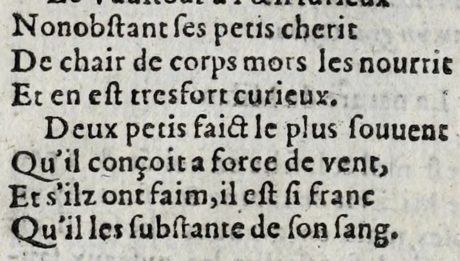 An illustration from Le description philosophale de la nature & condition des oyseaux & de l'inclination & proprieté d'iceux, 1571, leaf 62