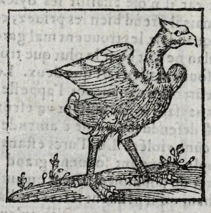 An illustration from Le description philosophale de la nature & condition des oyseaux & de l'inclination & proprieté d'iceux, 1571, leaf 62