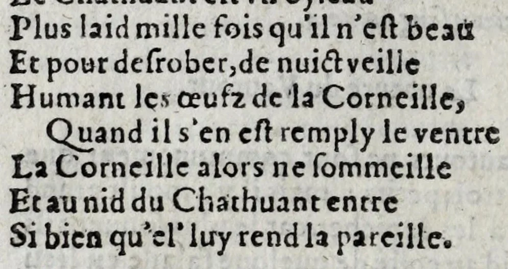 An illustration from Le description philosophale de la nature & condition des oyseaux & de l'inclination & proprieté d'iceux, 1571, leaf 64