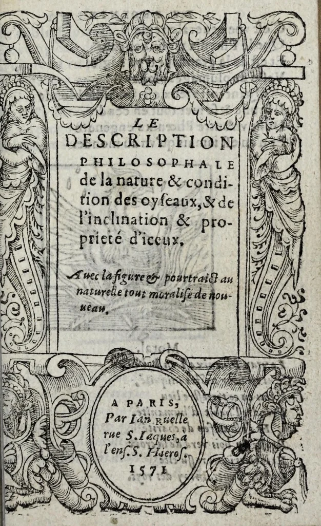 An illustration from Le description philosophale de la nature & condition des oyseaux & de l'inclination & proprieté d'iceux, 1571, leaf 7