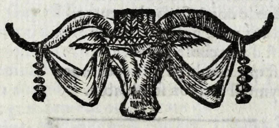 An illustration from Le description philosophale de la nature & condition des oyseaux & de l'inclination & proprieté d'iceux, 1571, leaf 75