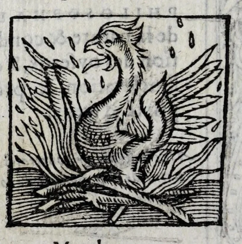 An illustration from Le description philosophale de la nature & condition des oyseaux & de l'inclination & proprieté d'iceux, 1571, leaf 8
