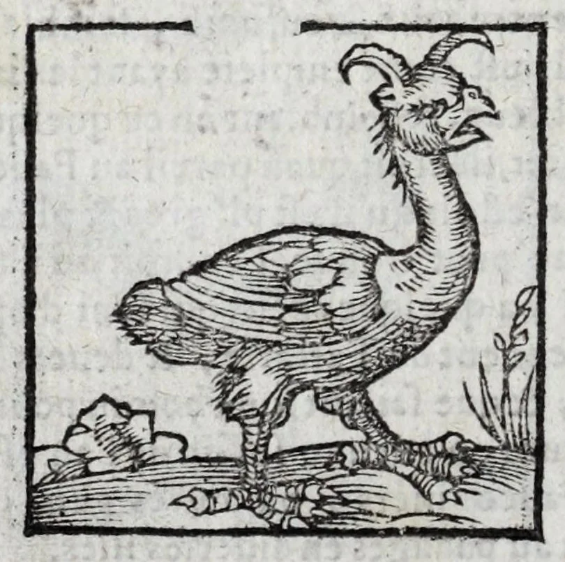 An illustration from Le description philosophale de la nature & condition des oyseaux & de l'inclination & proprieté d'iceux, 1571, leaf 98