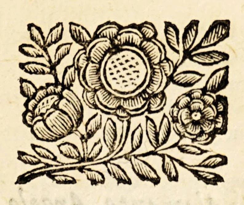 An illustration from Le descrittioni vniuersali et particolari del mondo, & delle republiche., 1660, leaf 15