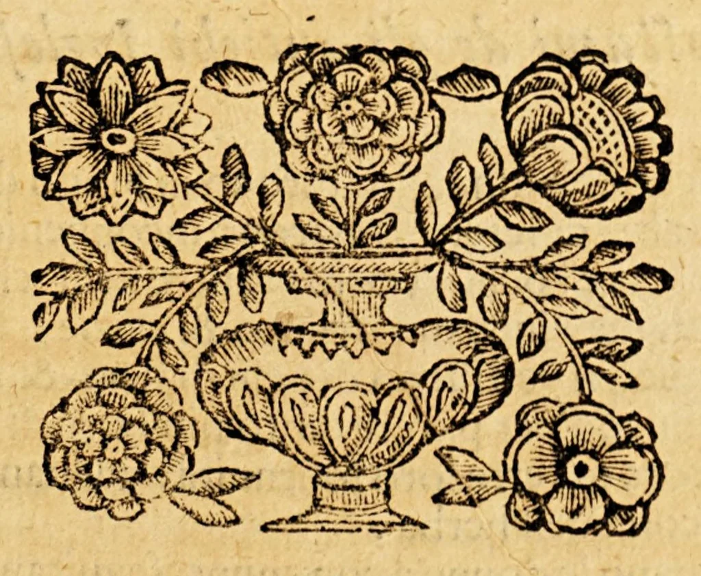 An illustration from Le descrittioni vniuersali et particolari del mondo, & delle republiche., 1660, leaf 273