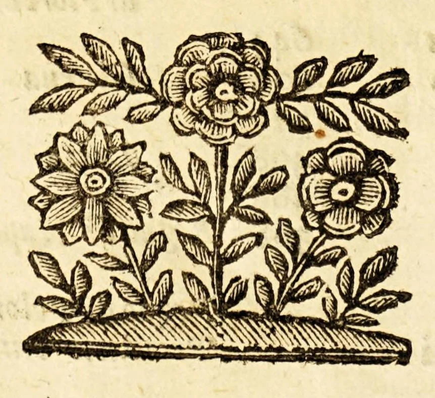 An illustration from Le descrittioni vniuersali et particolari del mondo, & delle republiche., 1660, leaf 28